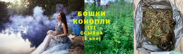 первитин Белокуриха