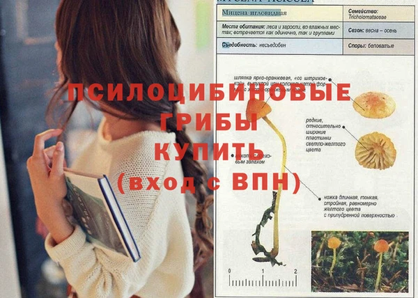 винт Беломорск